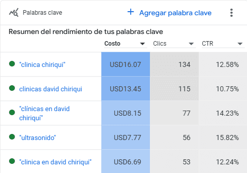Resultados de palabras clave en Google Ads para el Centro Médico Castillo: términos como ‘clínica Chiriquí’ y ‘ultrasonido’ con CTR de hasta 15.82%, seleccionadas por Fresa Marketing para maximizar tráfico y conversiones locales en Panamá
